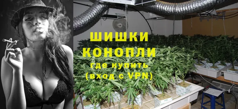 Марихуана SATIVA & INDICA  Нефтеюганск 